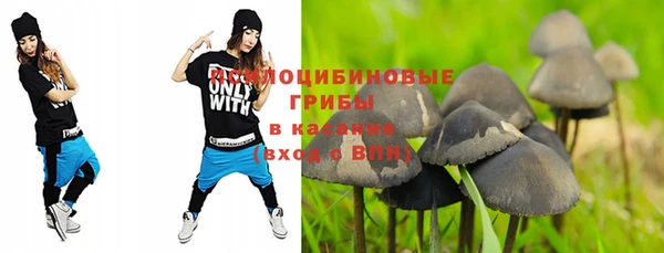 бошки Надым
