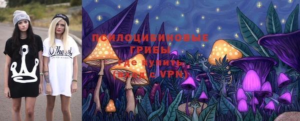 бошки Надым